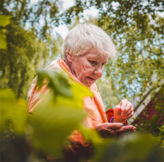 Access Aged Care